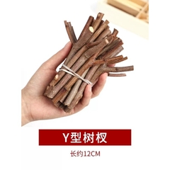 Cành Cây khô Tự Nhiên Trang Trí  Sáng Tạo  làm thủ công Handmade  mầm non - tiểu học