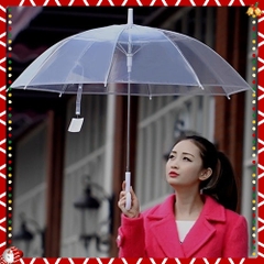 Ô Trong Suốt, Dù Trong Suốt,  Ô Trong Suốt Gấp Gọn,  - Phụ Kiện Đi Chơi, Dã Ngoại chụp ảnh