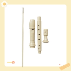 Sáo học nhạc học sinh,sáo dọc Recorder 8 lỗ DHS rẻ,đẹp kèm que vệ sinh,túi đựng ( hàng loại 1)