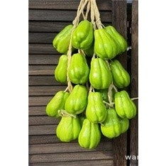 Dây củ quả, dây nông sản trang trí chợ quê , nhà hàng, khách sạn, lớp học mầm non