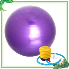 Bóng tập Yoga Gym Size 65cm cao cấp thể thao tập luyện