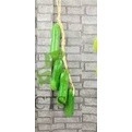 Dây củ quả, dây nông sản trang trí chợ quê , nhà hàng, khách sạn, lớp học mầm non