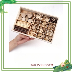 Cành trang trí thủ công làm handmade vật liệu tự nhiên Steam mầm non - học sinh