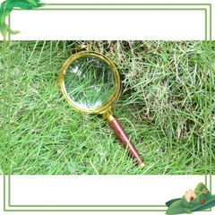 Kính Lúp Vân Gỗ Cầm Tay Đọc Sách báo Độ Phân Giải Cao 3D Magnifier MD3G