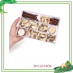 Cành trang trí thủ công làm handmade vật liệu tự nhiên Steam mầm non - học sinh