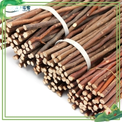 Cành Cây khô Tự Nhiên Trang Trí  Sáng Tạo  làm thủ công Handmade  mầm non - tiểu học