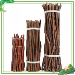 Cành Cây khô Tự Nhiên Trang Trí  Sáng Tạo  làm thủ công Handmade  mầm non - tiểu học