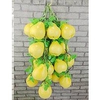 Dây củ quả, dây nông sản trang trí chợ quê , nhà hàng, khách sạn, lớp học mầm non