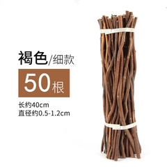 Cành Cây khô Tự Nhiên Trang Trí  Sáng Tạo  làm thủ công Handmade  mầm non - tiểu học