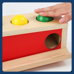 Hộp Ấn Bóng lăn mángGiáo Cụ Montessori Tư Duy Phối Hợp Tay Mắt Đồ Chơi Gỗ