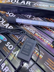 Đèn Ống Solar Color Booster - Đỏ Cá Không Đỏ Nước