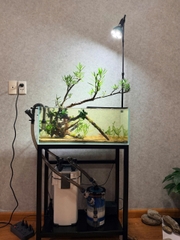 Đèn Rọi Thân Cao - Có thể Tùy Chỉnh Cao Thấp - Phù Hợp Phong Cách Biotop, Bán Cạn, Tiểu Cảnh