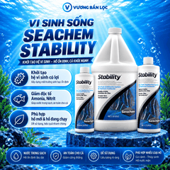 Vi sinh sống cao cấp Seachem Stability