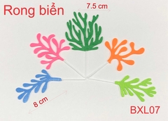 SET CẮM RONG BIỂN DẠ