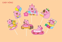 SET CẮM GIẤY CABY BARA HỒNG