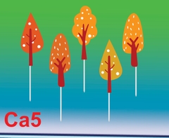 SET CẮM GIẤY CÂY 5A