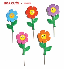 SET CẮM HOA CƯỜI