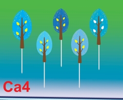 SET CẮM GIẤY CÂY 4A