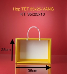 Hộp Mica Vali Quà Tết Vàng