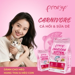 Hạt Cho Mèo Con Giàu Đạm PRAMY CARNIVORE Kitten Vị Cá Hồi & Sữa Dê Cho Mèo Con & Mèo Mẹ 800g