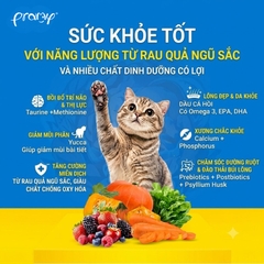 Hạt Cho Mèo PRAMY CARNIVORE Vị Cá Hồi 1kg
