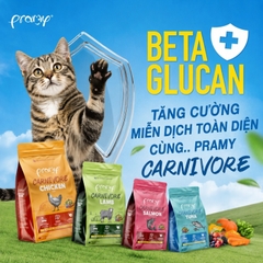 Hạt cho mèo giàu đạm PRAMY CARNIVORE Vị Cá Hồi 7kg