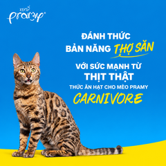Hạt cho mèo giàu đạm PRAMY CARNIVORE Vị Cá Hồi 7kg