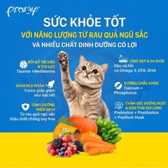 Hạt Cho Mèo PRAMY CARNIVORE Vị Cá Ngừ 1kg