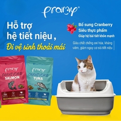 Hạt Cho Mèo PRAMY CARNIVORE Vị Cá Hồi 1kg