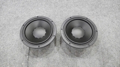 Loa Arouse Anh Quốc Bass 20 Từ Neo Coil 75