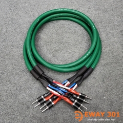 Bộ Dây Loa Mcintosh Full Jack Bắp Chuối Bọc Carbon 2m