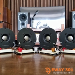 Cặp Loa Treble Pioneer P08S Hàng Bãi Nhật Tích Hợp Phân Tần