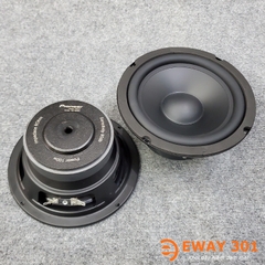 Cặp Loa MID BASS 16 P8816