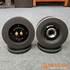 Đôi Loa Treble A300V