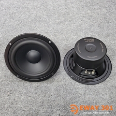 Cặp Loa Trung MID Bọc Khử Từ P6608