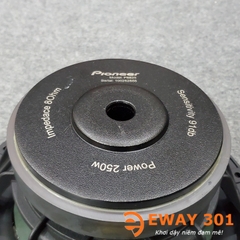 Cặp Loa Bass 25 P8825 Chính Hãng