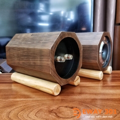 Cặp Loa Treble Pioneer P08802 Lắp Vỏ Gỗ Bát Giác Độc Đáo