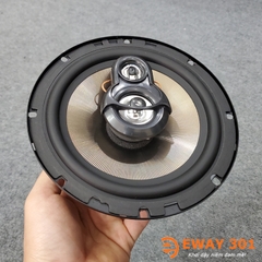 Loa Đồng Trục Pioneer D2000