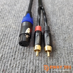 Dây Tín Hiệu Cho Loa SUB Điện Hitachi - Dây Canon Cái Ra 2AV