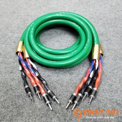 Bộ Dây Loa Mcintosh Full Jack Bắp Chuối Carbon Chặn Đồng - Dài 2,5m