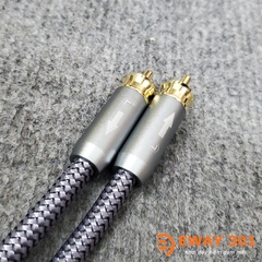 Bộ Dây AV (RCA) Chính Hãng Jnet Chống Nhiễu 1 Chiều - Dài 1m