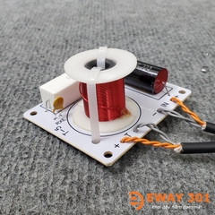 Mạch Phân Tần Dành Riêng Cho Loa Treble T5 New