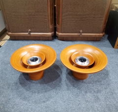 Cặp Loa Siêu Tép Pioneer Màng Titan Lắp Phân Tần Độ Kèn Tre