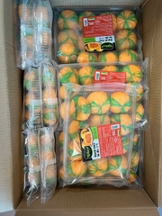 Bánh bao bí đỏ nhân ngọt (12c / 300g / Gói)
