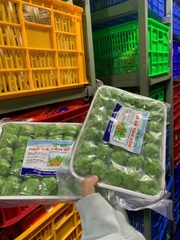 Cốm xanh Thiên Nhiên (500g / Gói)