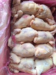Gà nguyên con Singreen LM10 (Kg) - Bán nguyên thùng