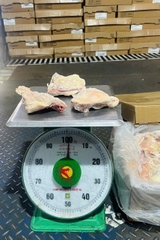 Má đùi Pimgrim 3/4 (20kg / Thùng)