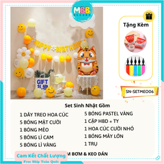 Set Trang Trí Sinh Nhật Tuổi Mèo Cho Bé SET MÈO 06