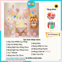 Set Trang Trí Sinh Nhật Tuổi Mèo Cho Bé SET MÈO 10