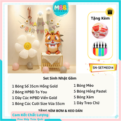 Set Trang Trí Sinh Nhật Tuổi Mèo Cho Bé SET MÈO 14